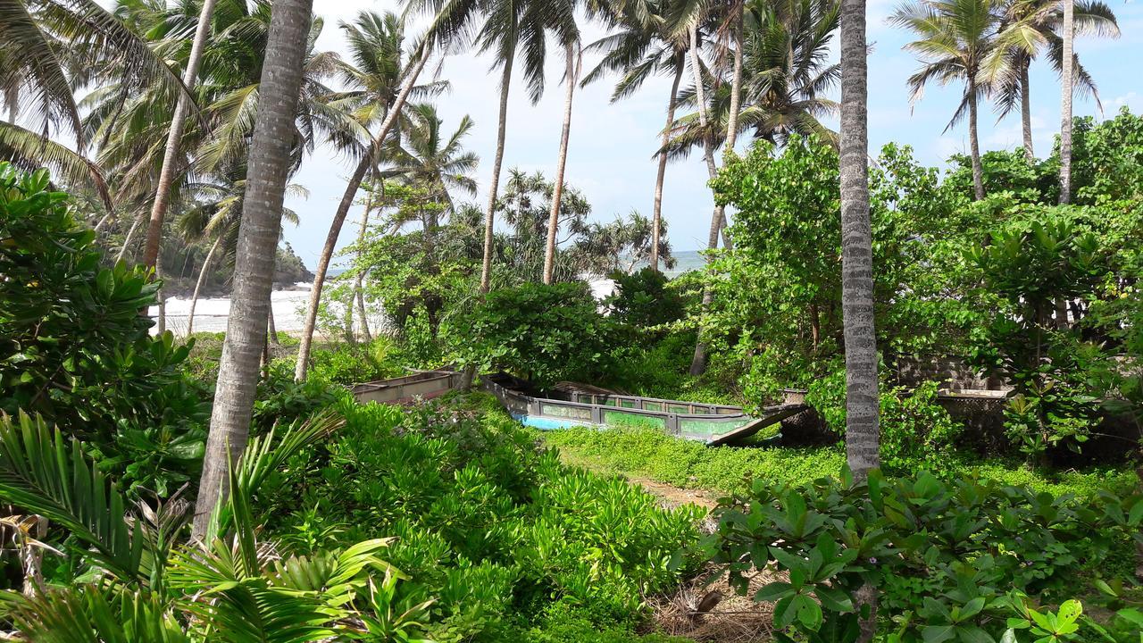 Leatherback Beach Villa 아훈갈라 외부 사진